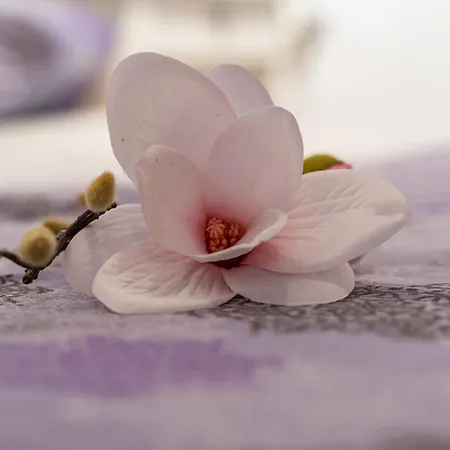 Old Town Historical 2 Ντουμπρόβνικ