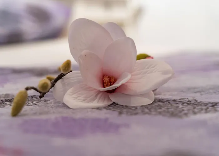 Old Town Historical 2 Ντουμπρόβνικ